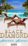 Black Diamond